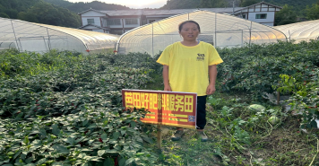 香港六和合资料